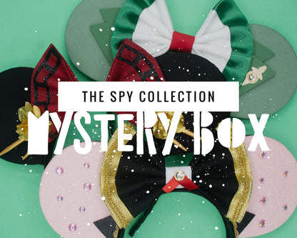 Spy Mystery Box